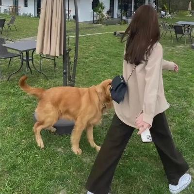 生命如歌
